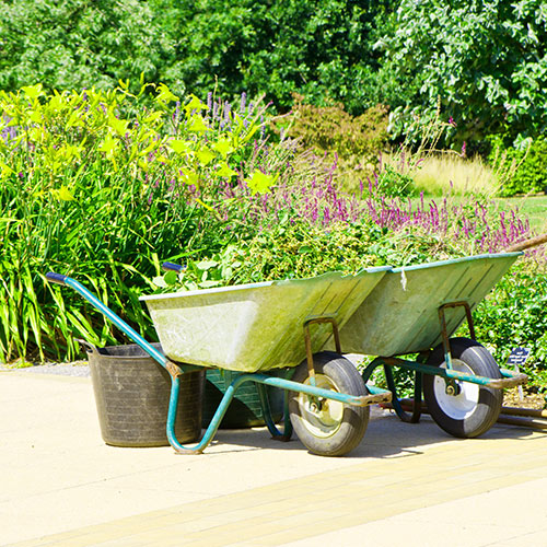 Spring and Fall Cleanup